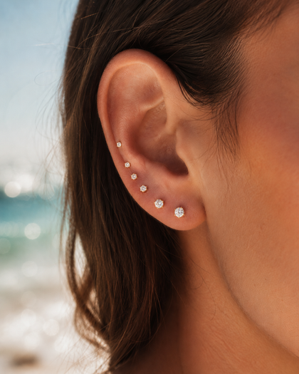 Multi-Zirconia Earrings in 925 Silver and 18k Gold Plating